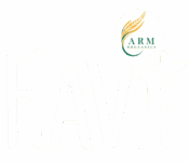 havit logo